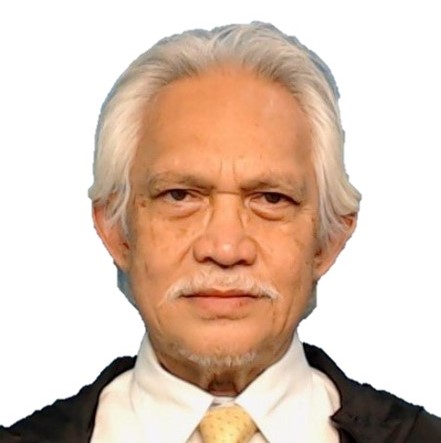 Prof. Emeritus Dato' Ts. Dr. Tengku Mohd Bin Tengku Sembok